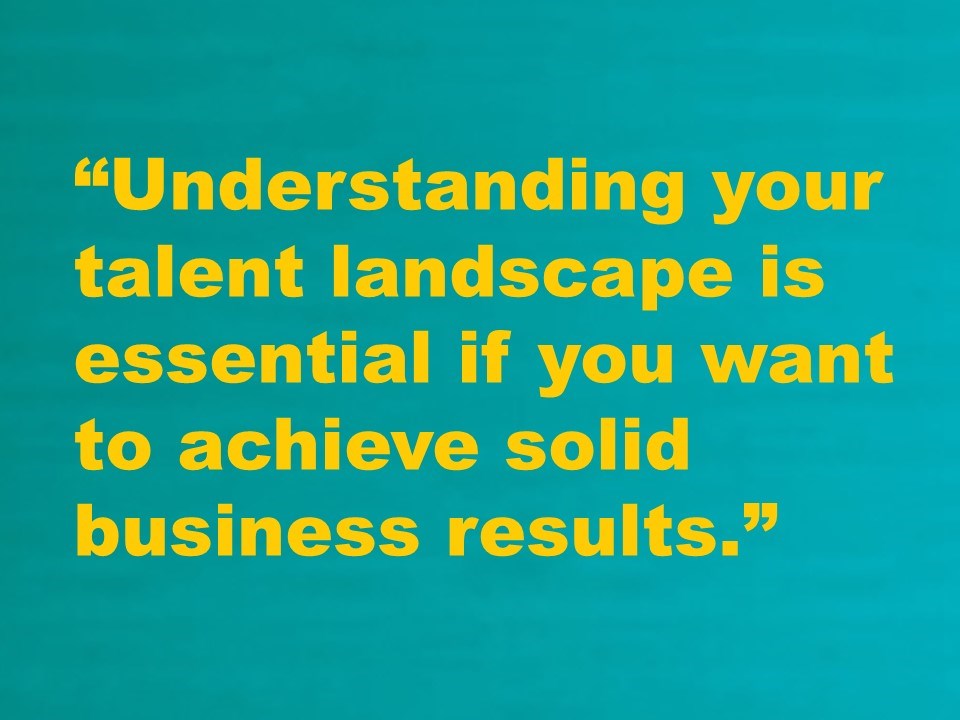 Understanding your talent landscape is essential if you want to achieve solid business results.