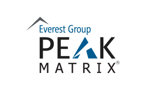 Everest Group PEAK Matrix logo