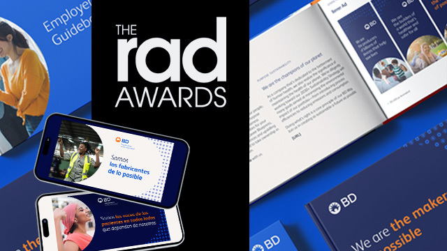 Screenshots from the campaign that was submitted to the RAD Awards